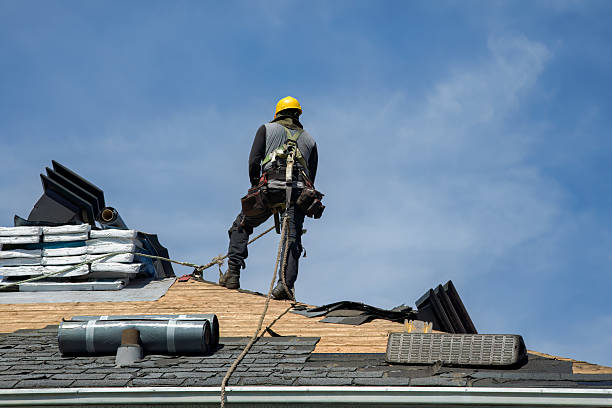 Professional Roof Replacement technician working in Nemours, WV